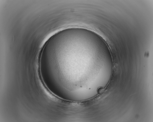 X0000090981523200708161845
