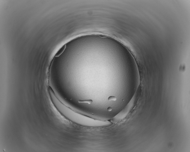 X0000090981524200708161845