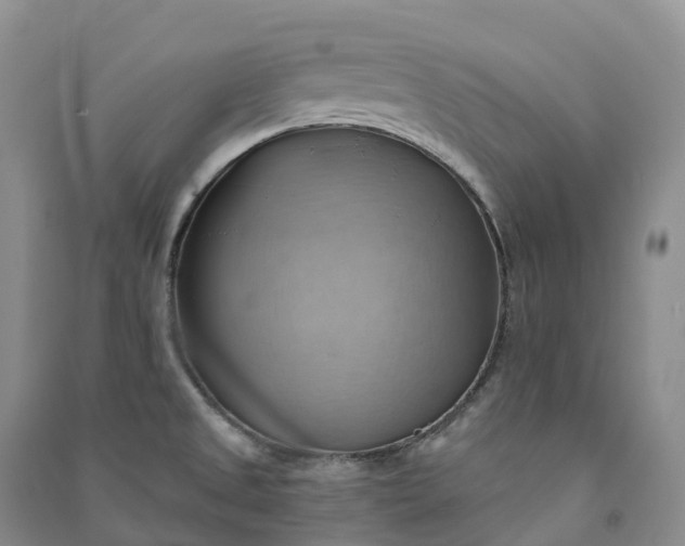 X0000090981525200708161845