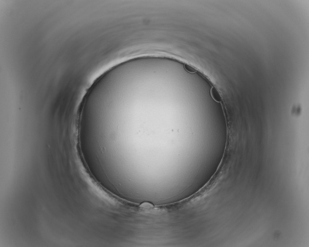 X0000090981526200708161845