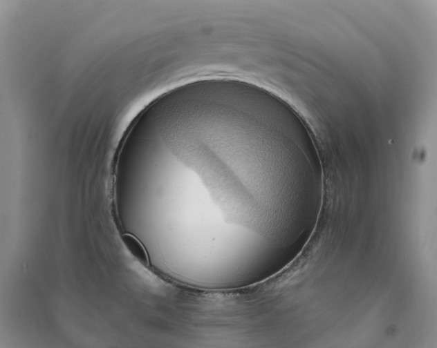 X0000090981527200708161845