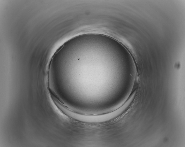 X0000090981528200708161846