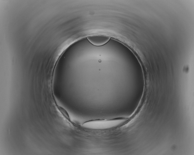 X0000090981529200708161846