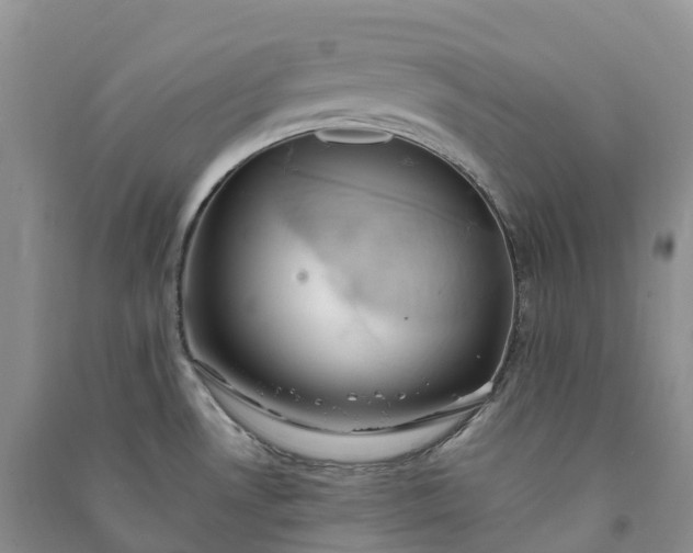 X0000090981530200708161846