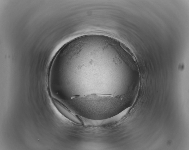 X0000090981531200708161846
