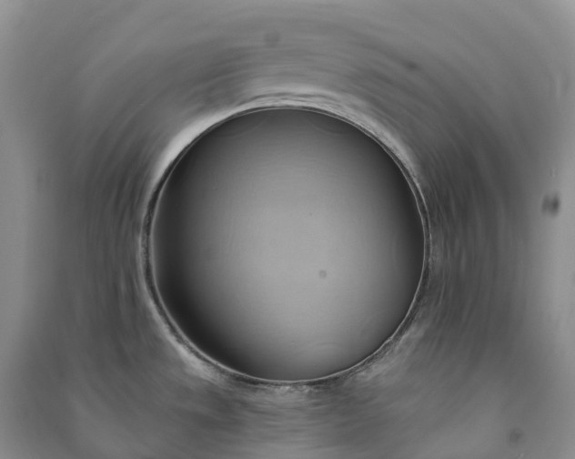 X0000090981533200708161846