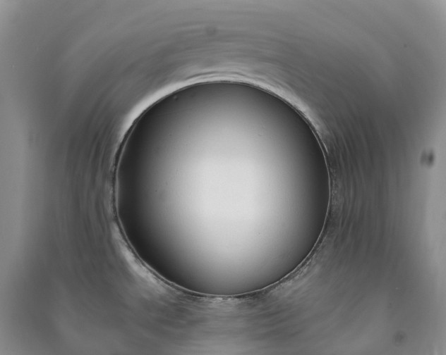 X0000090981534200708161846