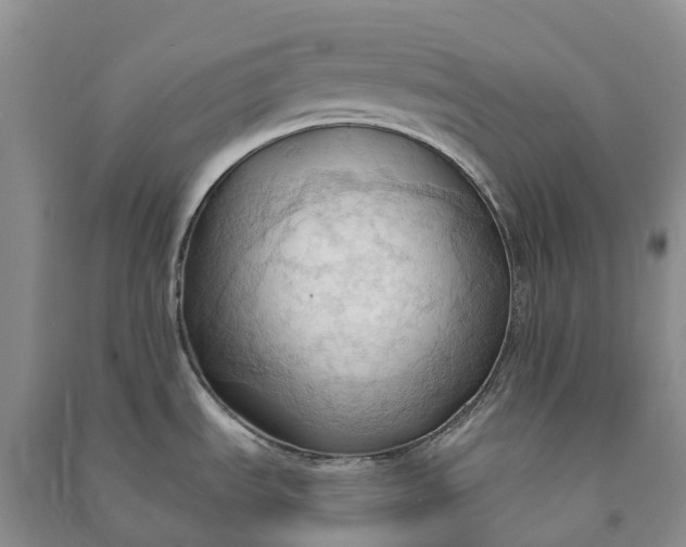 X0000090981535200708161846