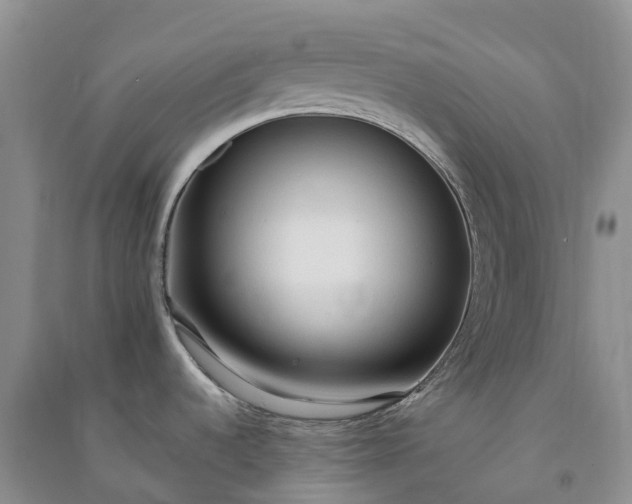 X0000090981536200708161846