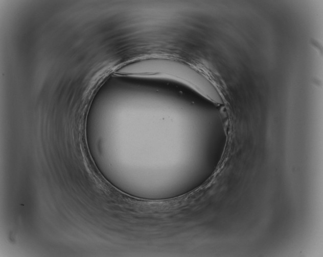 X0000090980001200708241413