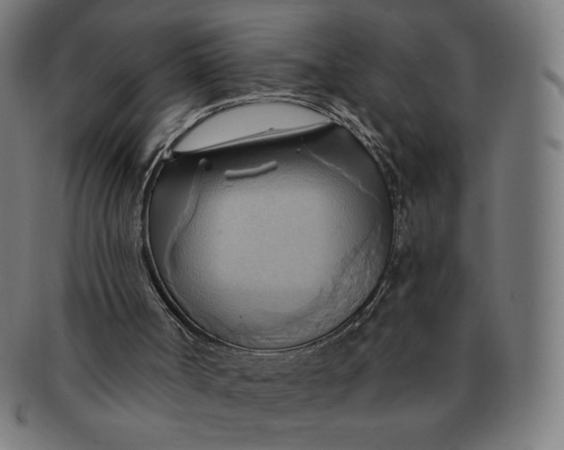 X0000090980002200708241413
