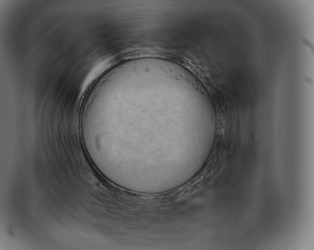 X0000090980004200708241413