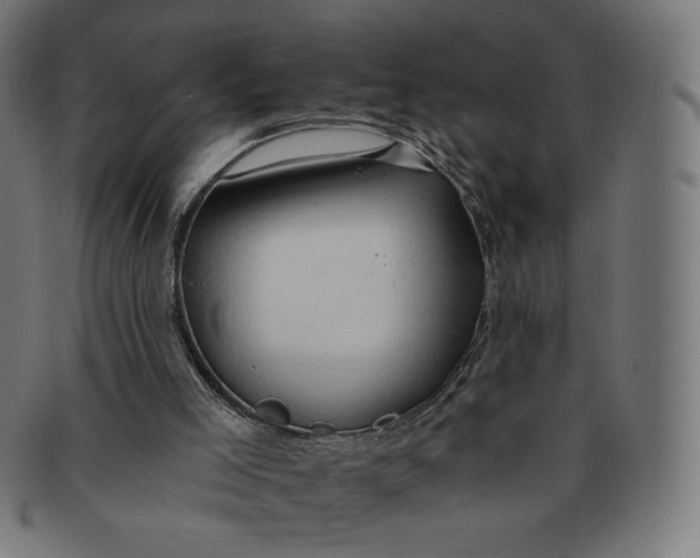 X0000090980005200708241413