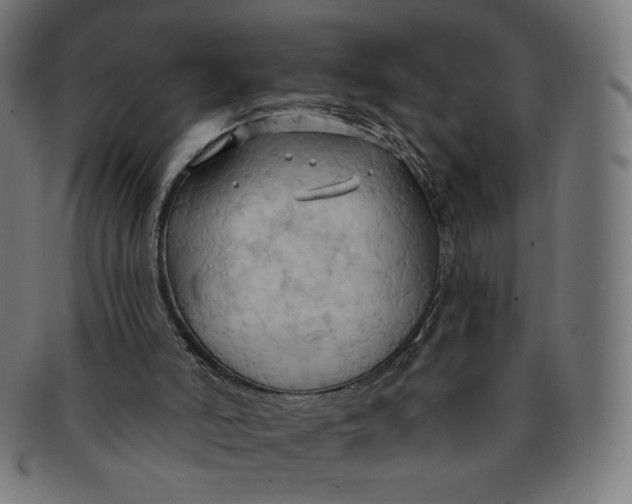 X0000090980006200708241413