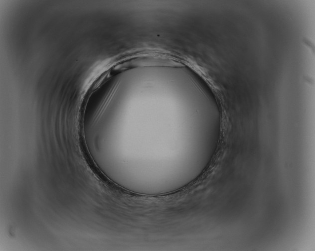 X0000090980007200708241413