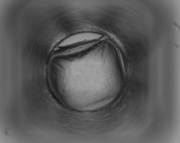 X0000090980010200708241413
