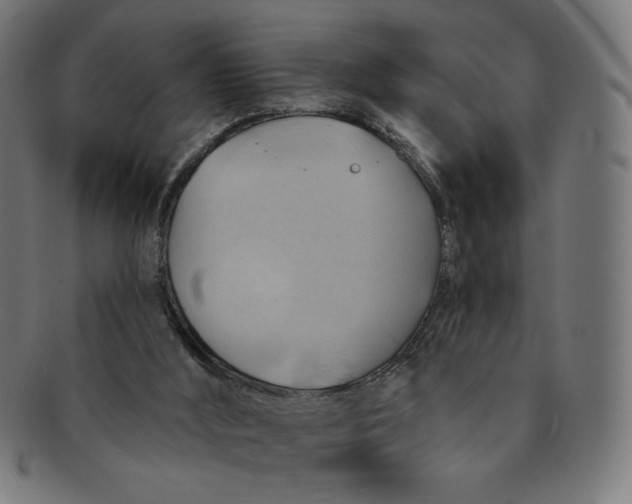 X0000090980012200708241413