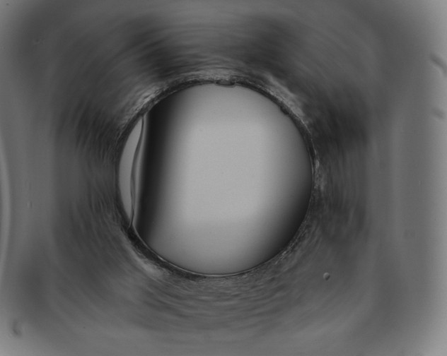 X0000090980013200708241413