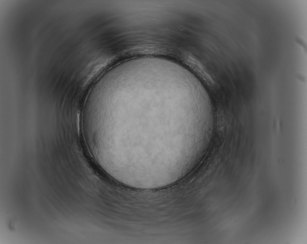 X0000090980014200708241413