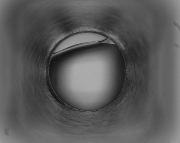 X0000090980015200708241413