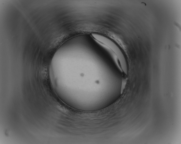 X0000090980017200708241413