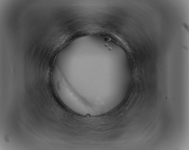X0000090980018200708241413