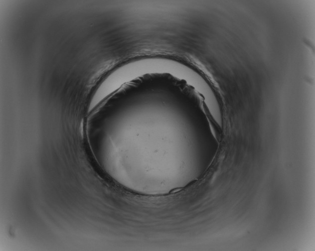 X0000090980019200708241413