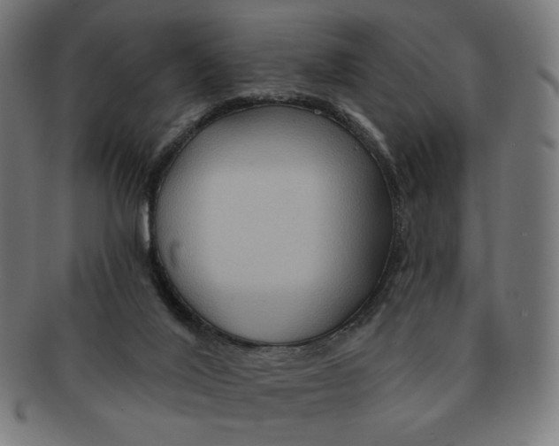 X0000090980020200708241413