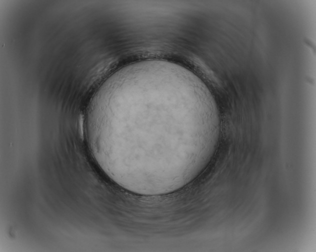 X0000090980022200708241413
