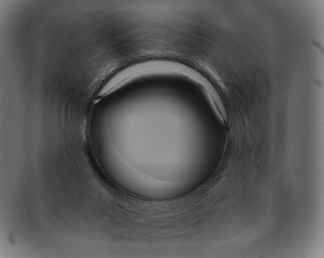 X0000090980023200708241413