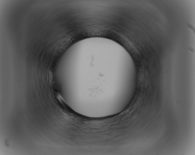X0000090980025200708241413