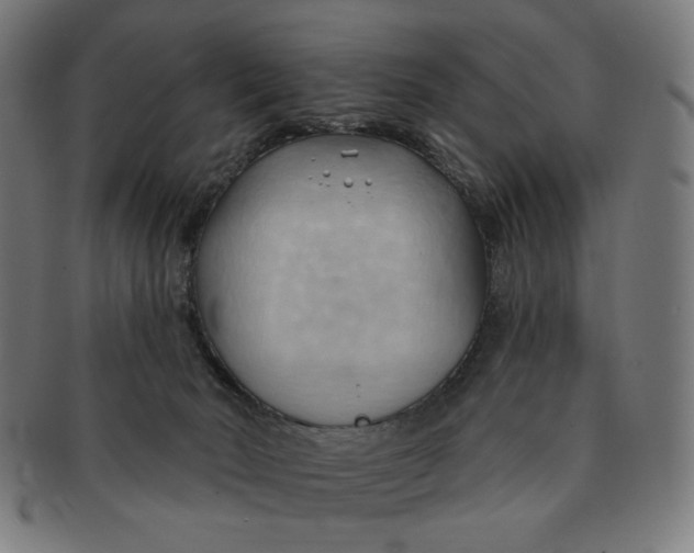 X0000090980030200708241413