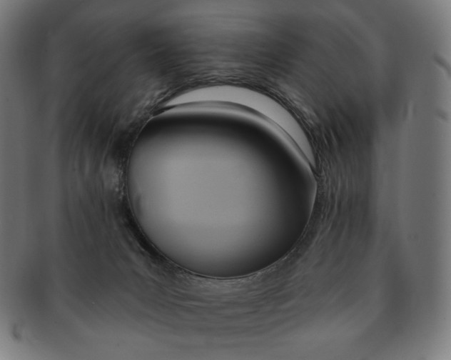 X0000090980031200708241413