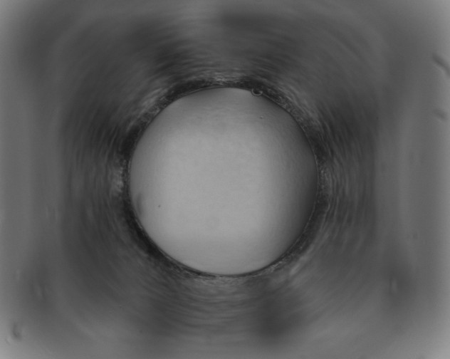 X0000090980032200708241413