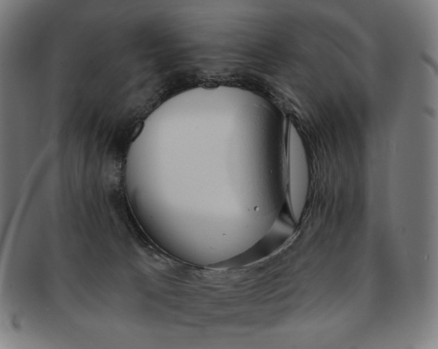 X0000090980033200708241413