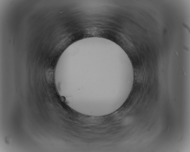 X0000090980036200708241413