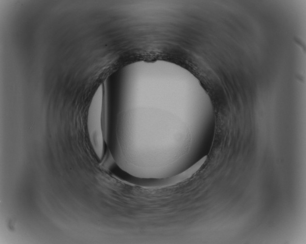 X0000090980037200708241413