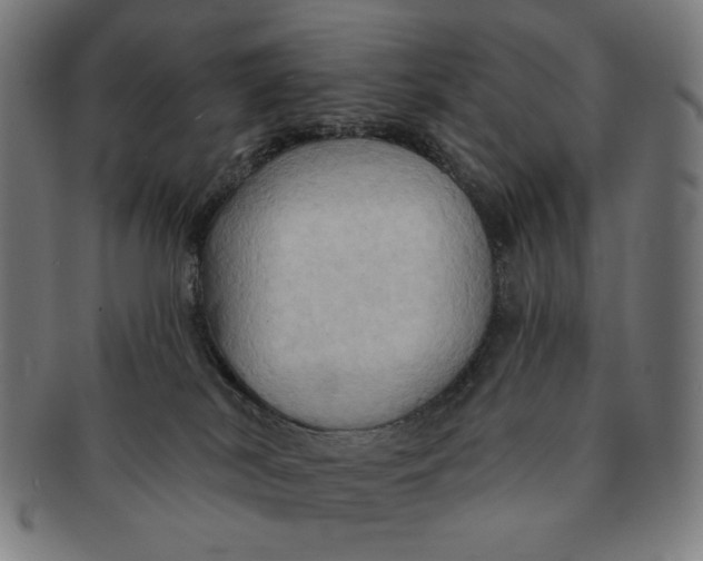 X0000090980038200708241413