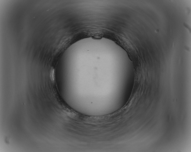 X0000090980041200708241413