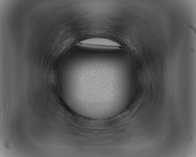 X0000090980044200708241413