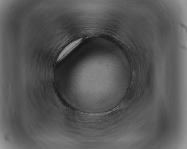 X0000090980048200708241413