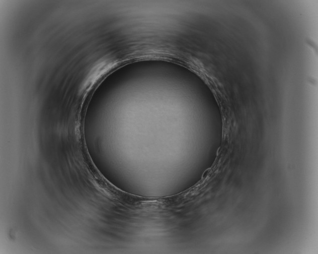 X0000090980050200708241412