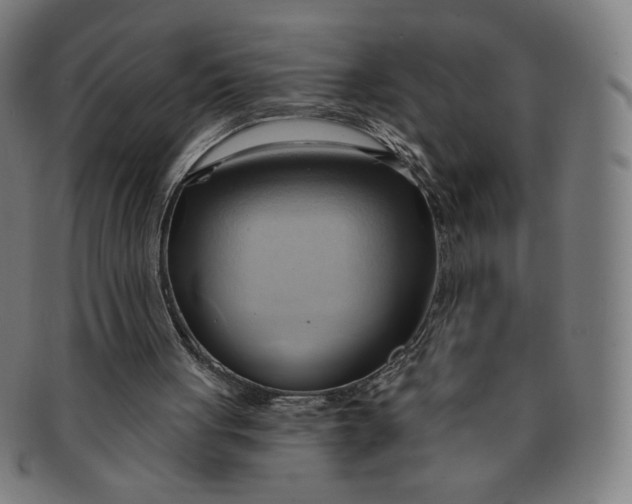 X0000090980051200708241412