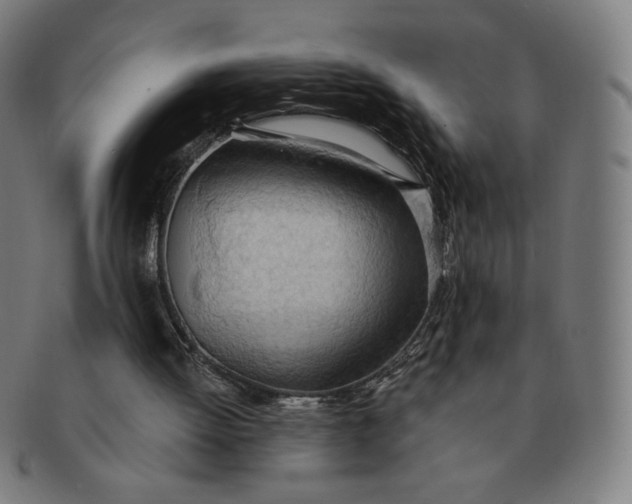 X0000090980052200708241412