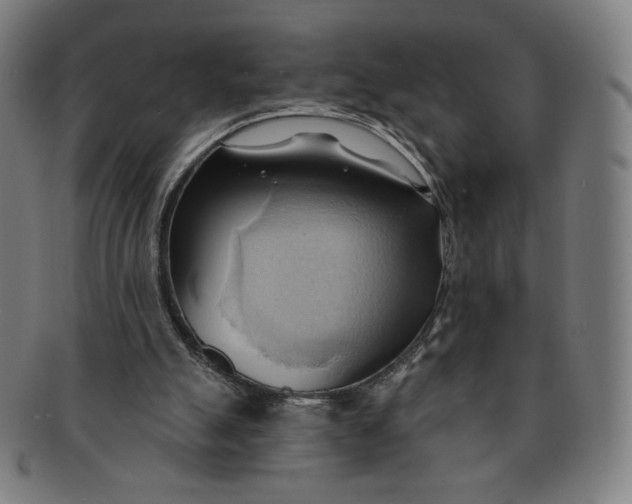 X0000090980055200708241412