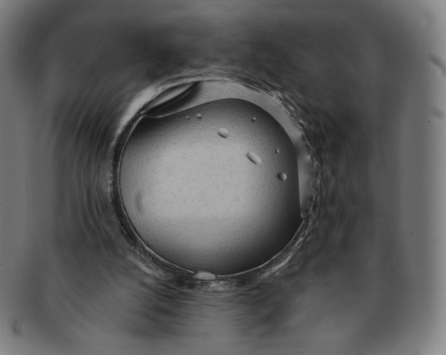 X0000090980056200708241412
