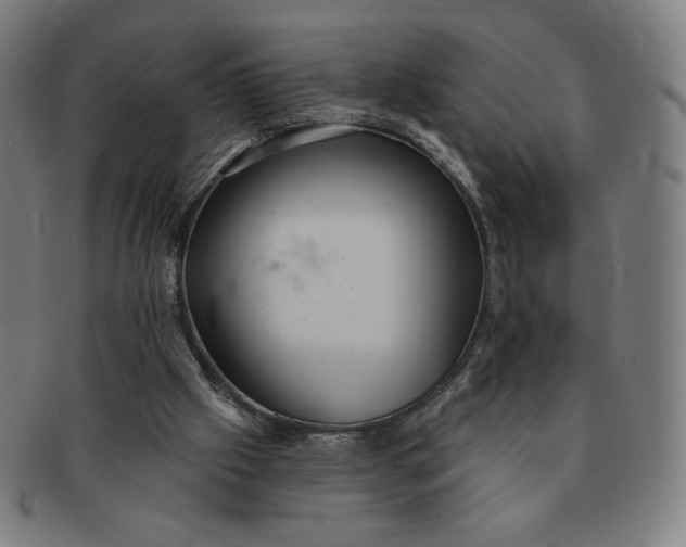 X0000090980057200708241412