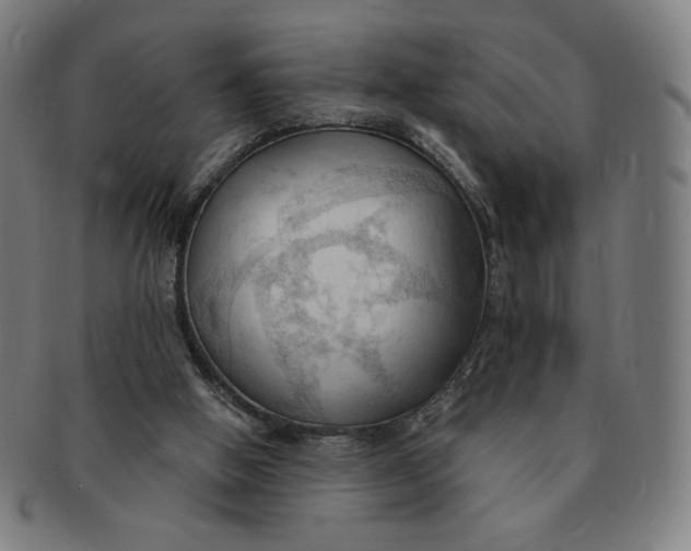 X0000090980058200708241412