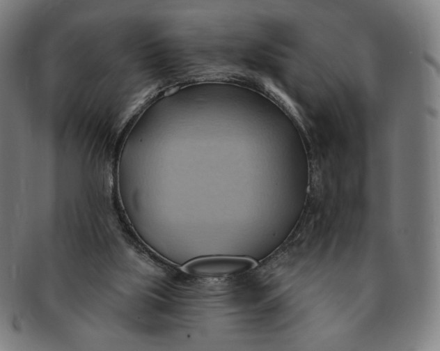 X0000090980059200708241412