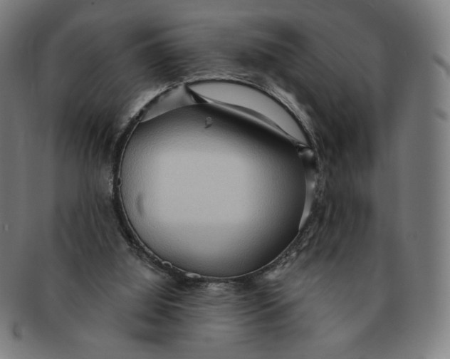 X0000090980060200708241412